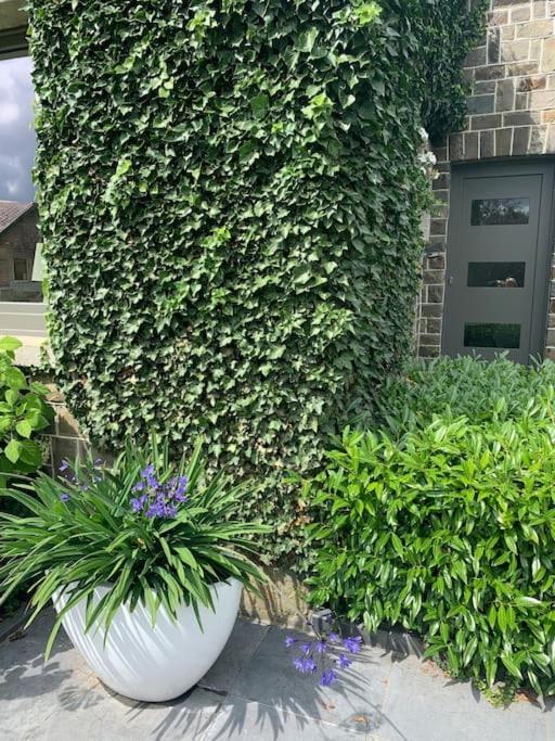 Les Rhododendrons Apartment Waimes Bagian luar foto